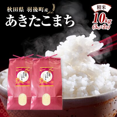 秋田県羽後町産あきたこまち 精米 10kg(5kg×2袋)[No.5325-0583]