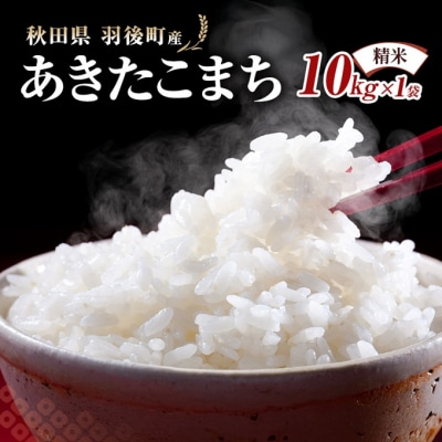 秋田県羽後町産あきたこまち 精米 10kg(10kg×1袋)[No.5325-0584]