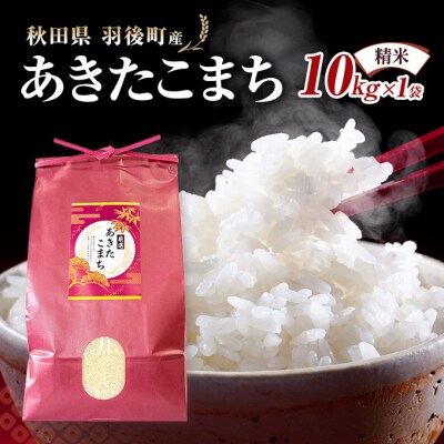 秋田県羽後町産あきたこまち 精米 10kg(10kg×1袋)[No.5325-0584]