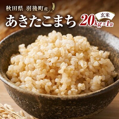 秋田県羽後町産あきたこまち 玄米 20kg×1袋[No.5325-0585]