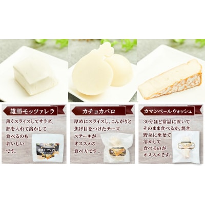 【2ヶ月毎全2回お届け】チーズアソート5種9個/フレッシュセット[No.5325-0592]