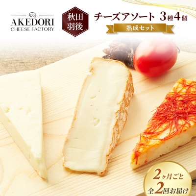 【2ヶ月毎全2回お届け】チーズアソート3種4個/熟成セット[No.5325-0596]