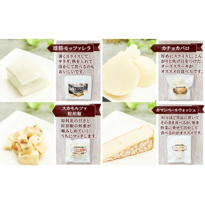 【2ヶ月毎全2回お届け】チーズアソート4種/定番セット[No.5325-0598]