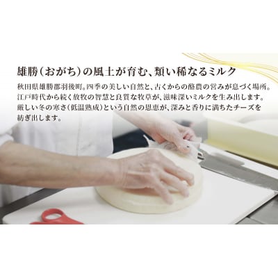 【2ヶ月毎全2回お届け】チーズアソート4種/定番セット[No.5325-0598]