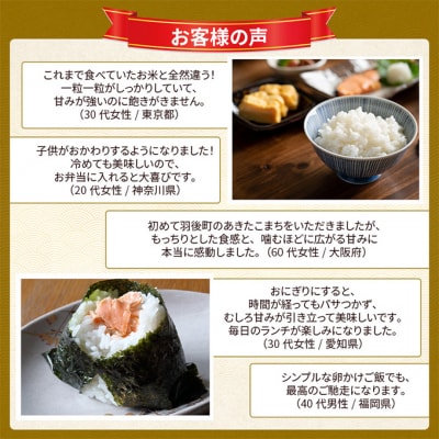 【先行予約】令和8年産 秋田県産あきたこまち 10kg(5kg×2袋)[No.5325-0694]