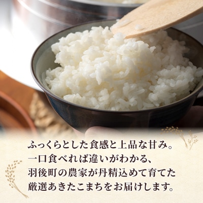【先行予約】令和8年産 秋田県産あきたこまち 20kg(5kg×4袋)[No.5325-0696]