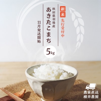秋田県羽後町産あきたこまち[No.5325-0432]