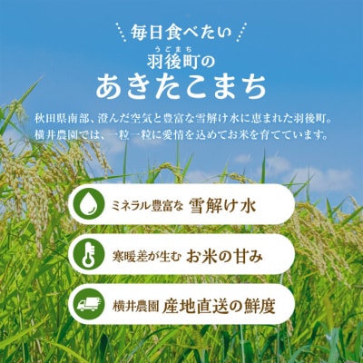 秋田県羽後町産あきたこまち[No.5325-0432]