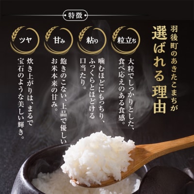 秋田県羽後町産あきたこまち[No.5325-0432]