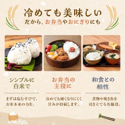 秋田県羽後町産あきたこまち[No.5325-0432]