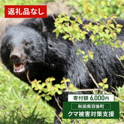【返礼品なし】クマ被害対策支援(秋田県羽後町)　6,000円[No.5325-0716]