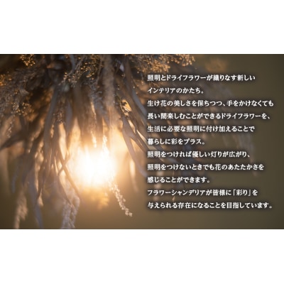 ドライフラワーシャンデリア Mサイズ 引換券[No.5325-0752]