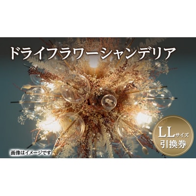 ドライフラワーシャンデリア LLサイズ 引換券[No.5325-0754]