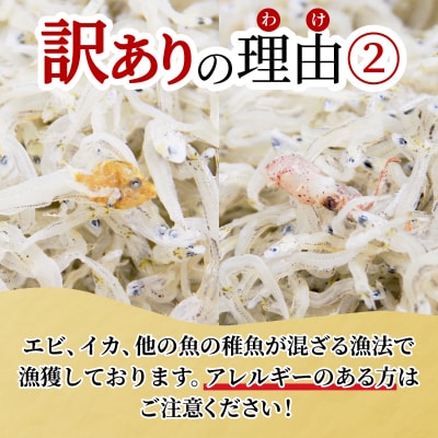 訳あり ちりめん しらす 1kg 小分け 冷蔵 しらす干し 