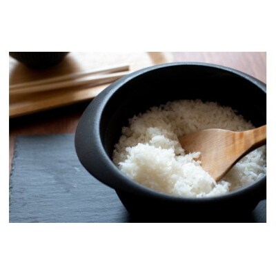 令和6年産 はえぬき 30kg 山形県大石田町産 特別栽培米 玄米 ja-hagxb30