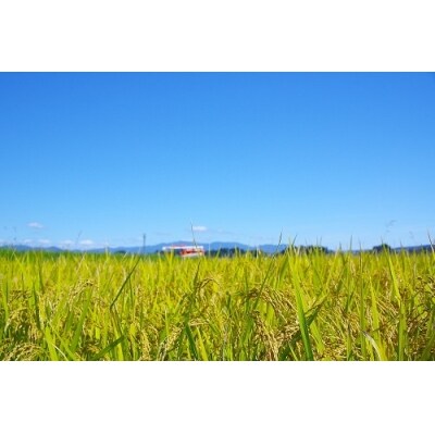 令和6年産 はえぬき 30kg 山形県大石田町産 特別栽培米 玄米 ja-hagxb30