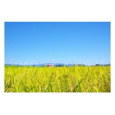 令和6年産 つや姫 30kg 山形県大石田町産 特別栽培米 玄米 ja-tsgxb30