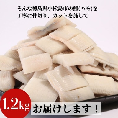 小松島産活〆鱧(ハモ)切り身【骨切り・カット済】1.2kg