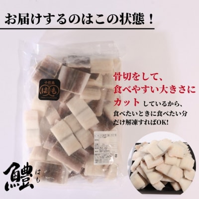 小松島産活〆鱧(ハモ)切り身【骨切り・カット済】1.2kg