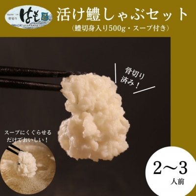 新鮮◎産地直送! 活け鱧しゃぶセット(骨切済ハモ500g・スープ付き)