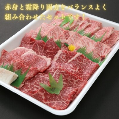黒毛和牛(阿波牛)霜降と赤身セット約600g