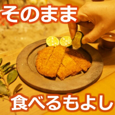 〇産蒲鉾 阿波 小松島名産 フィッシュカツ 詰合せ 30枚　練り物