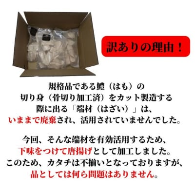 訳あり　鱧(はも)の唐揚げ　1.2kg(600g×2袋)│冷凍　カツ　から揚げ　規格外