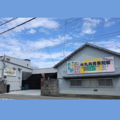 徳島産　ゆこう生酢(天然果汁100%)1800ml(一升瓶)1本 冷蔵 無添加 調味料 お酢 酢 ビ