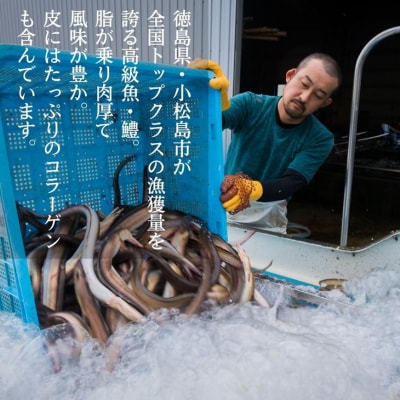 【定期便 全3回】 鱧しゃぶセット 毎月お届け!