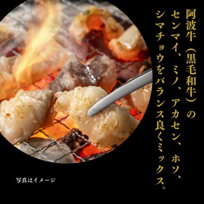 ホルモン ミックス 計 1kg 500g × 2袋 阿波牛 黒毛和牛 冷凍 焼肉 焼き肉 BBQ