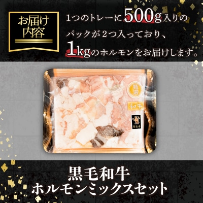 ホルモン ミックス 計 1kg 500g × 2袋 阿波牛 黒毛和牛 冷凍 焼肉 焼き肉 BBQ