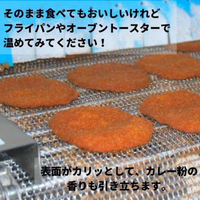 定期便 フィッシュ カツ 10枚 × 3ヵ月 ピリ辛 練り物 おかず おつまみ 食品 ※離島への配送