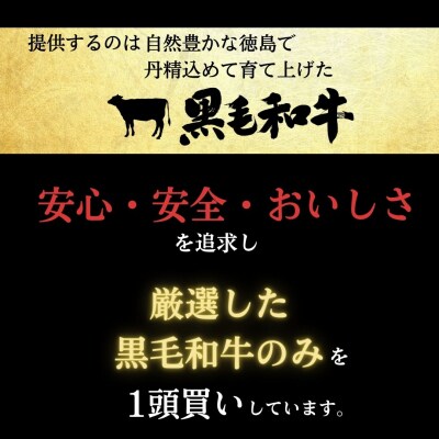 牛肉 切り落とし 550g 阿波牛 国産 黒毛和牛 ロース モモ カタ 焼肉 焼き肉 BBQ