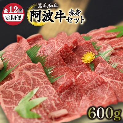 定期便 肉 12回 阿波牛 赤身 600g 国産 黒毛和牛 最高クラス 12ヶ月 1年 冷凍