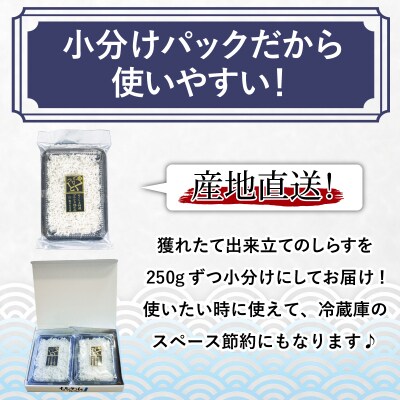釜揚げ しらす 500g 2025年5月発送 国産 徳島県産 和田島産 産地直送 冷蔵 