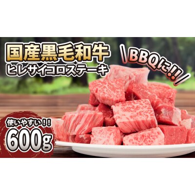 和牛 サイコロステーキ ヒレ 600g 冷凍 国産 黒毛和牛 阿波牛 徳島 小松島 BBQ 