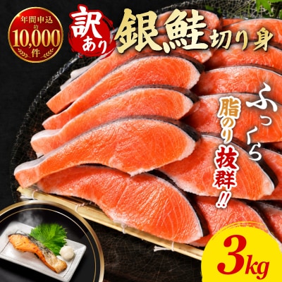 訳あり 銀鮭 切り身 3kg 冷凍 【北海道・沖縄・離島配送不可】