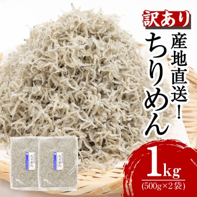 訳あり ちりめん しらす 1kg 小分け 冷蔵 しらす干し 