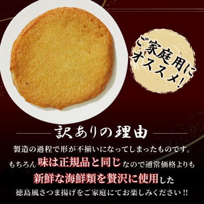  訳あり さつま揚げ 約900g 冷凍 徳島風 練り物 詰め合わせ セット 国産 徳島県 さつまあげ