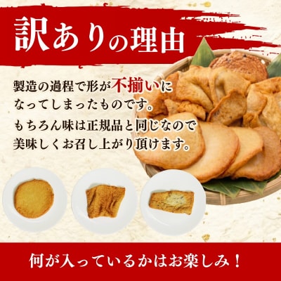  訳あり さつま揚げ 約900g 冷凍 徳島風 練り物 詰め合わせ セット 国産 徳島県 さつまあげ
