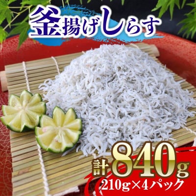 しらす 840g 210g×4パック 冷凍 国産 釜揚げ しらす 魚 海鮮