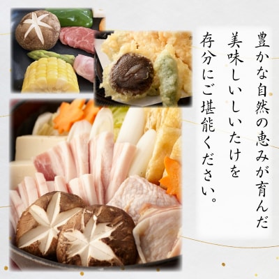 しいたけ 1kg 冷蔵 国産 徳島県 全国生産量1位 椎茸 しいたけ きのこ 肉厚 濃厚 家庭用