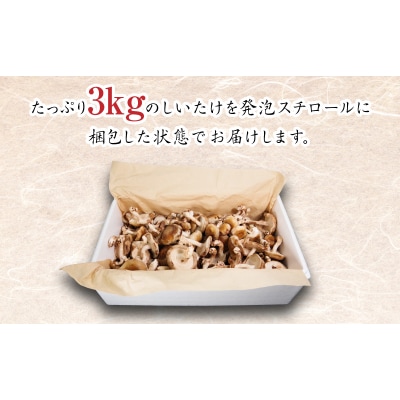 訳あり しいたけ 3kg 冷蔵 国産 徳島県 全国生産量1位 シイタケ 椎茸 生しいたけ きのこ
