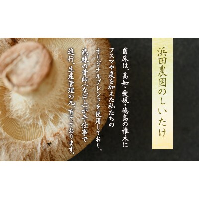 訳あり しいたけ 3kg 冷蔵 国産 徳島県 全国生産量1位 シイタケ 椎茸 生しいたけ きのこ