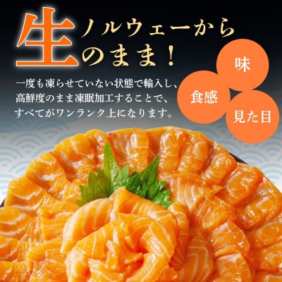 アトランティックサーモン 計900g(切り落とし付き) 冷凍  鮭 刺し身 魚 人気 