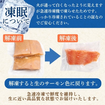 アトランティックサーモン 計900g(切り落とし付き) 冷凍  鮭 刺し身 魚 人気 