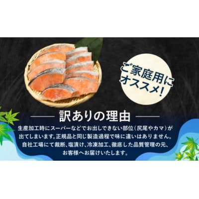 訳あり 銀鮭 切り身 4kg 冷凍 【北海道・沖縄・離島配送不可】