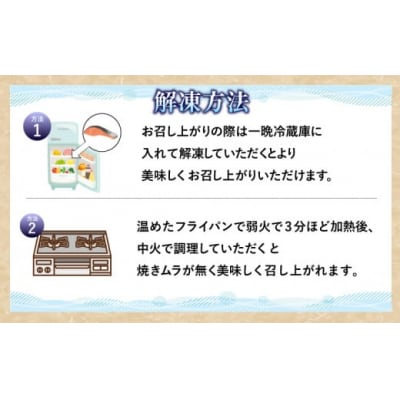 訳あり 銀鮭 切り身 4kg 冷凍 【北海道・沖縄・離島配送不可】