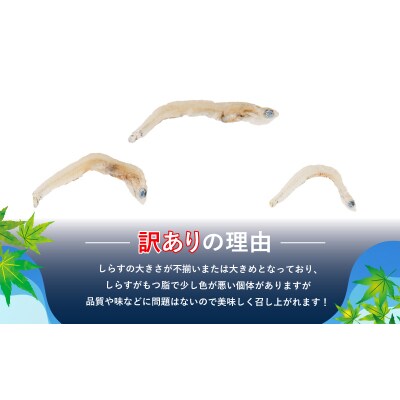 訳あり ちりめん 計 1kg 200g × 5袋 和田島産 しらす 産地直送 小分け パック 冷蔵 