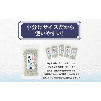 訳あり ちりめん 計 1kg 200g × 5袋 和田島産 しらす 産地直送 小分け パック 冷蔵 